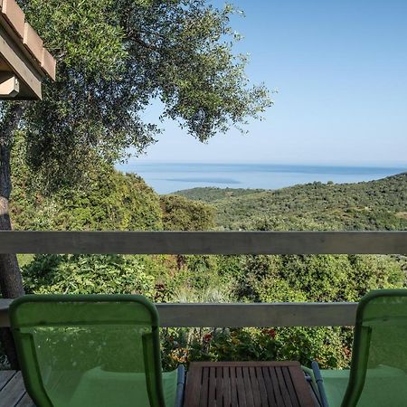 Les Terrasses De Scaglioli Villa Villanova Exteriör bild