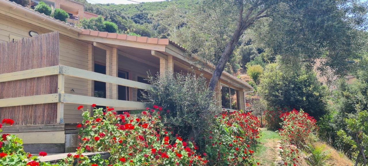 Les Terrasses De Scaglioli Villa Villanova Exteriör bild