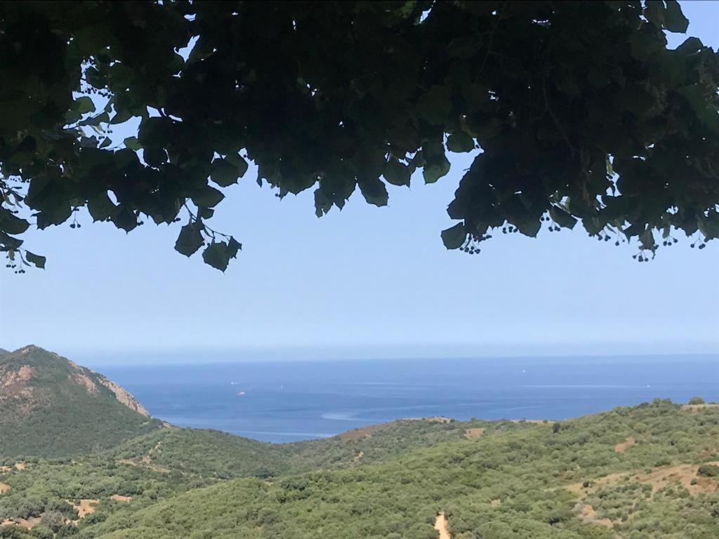 Les Terrasses De Scaglioli Villa Villanova Exteriör bild