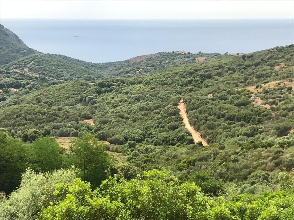 Les Terrasses De Scaglioli Villa Villanova Exteriör bild
