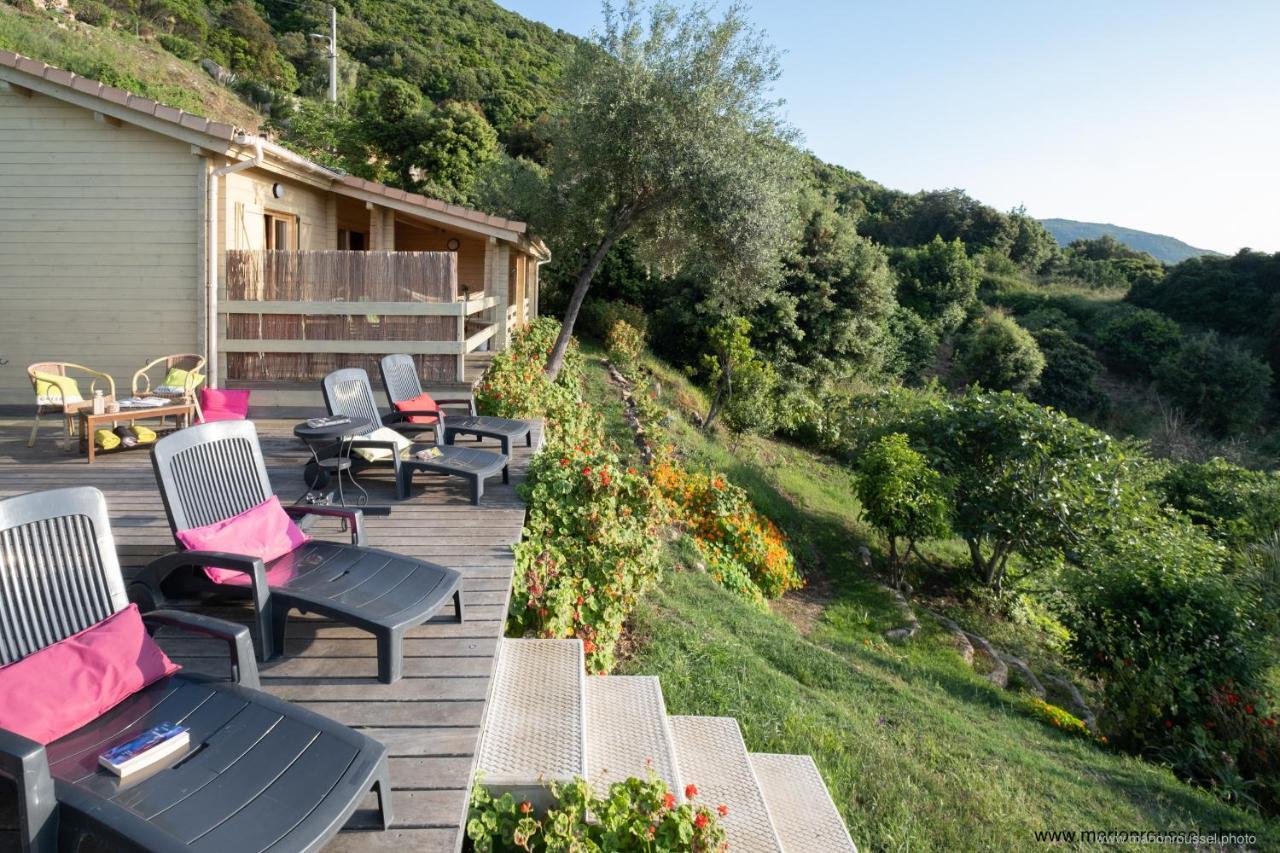 Les Terrasses De Scaglioli Villa Villanova Exteriör bild