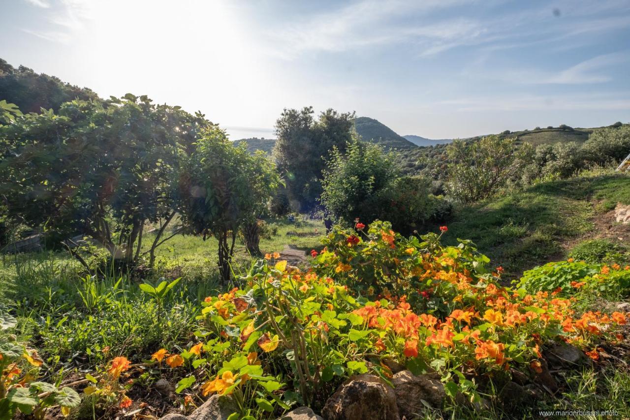 Les Terrasses De Scaglioli Villa Villanova Exteriör bild